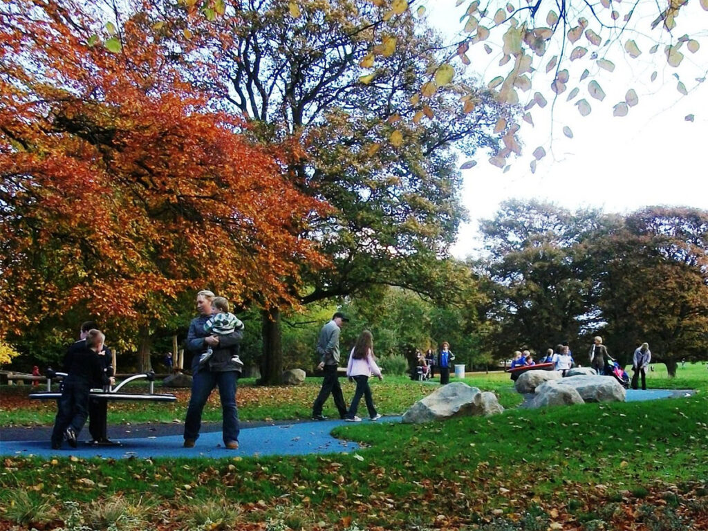Park playground design view of blue path and boulders