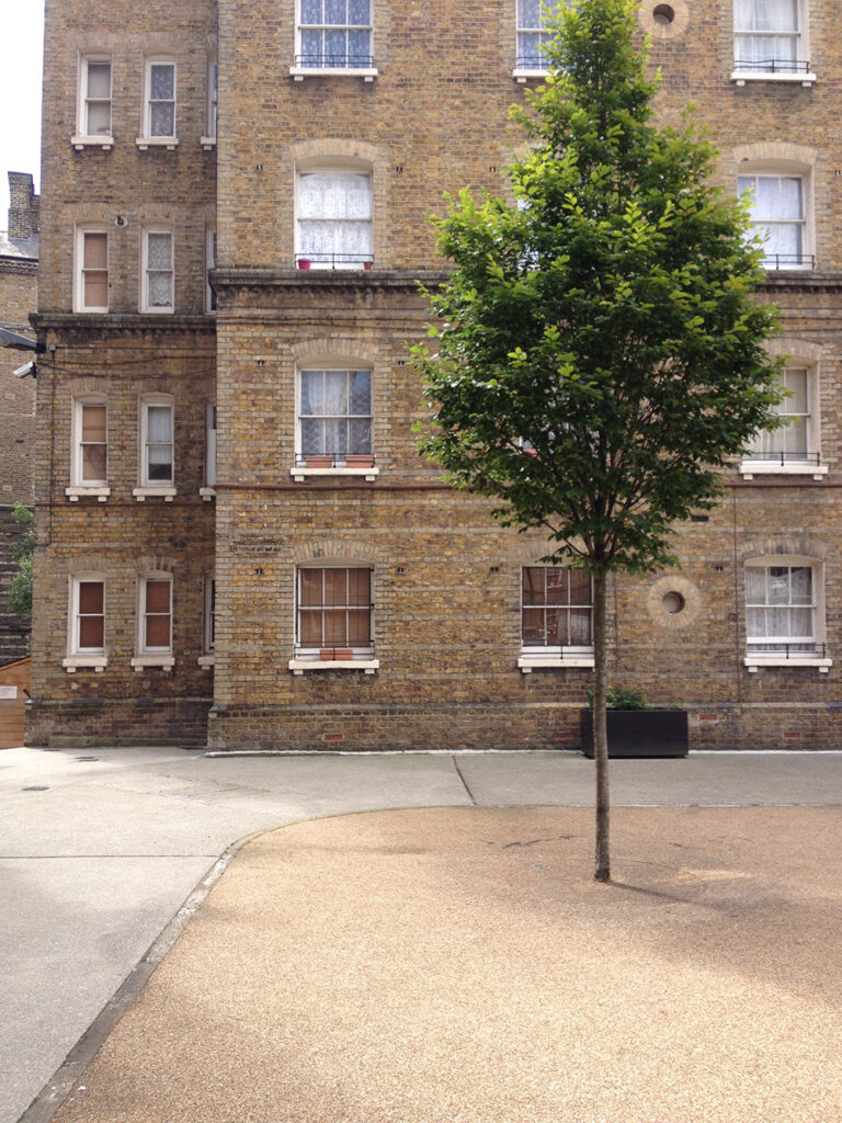 Historic estate and street tree
