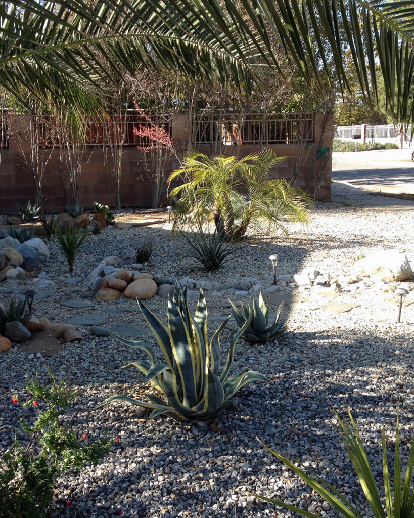 Dry river bed style pebbles and boulders with native planting