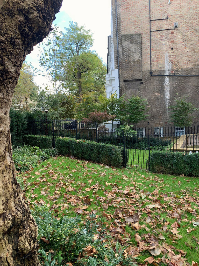 Townhouse landscape design front garden