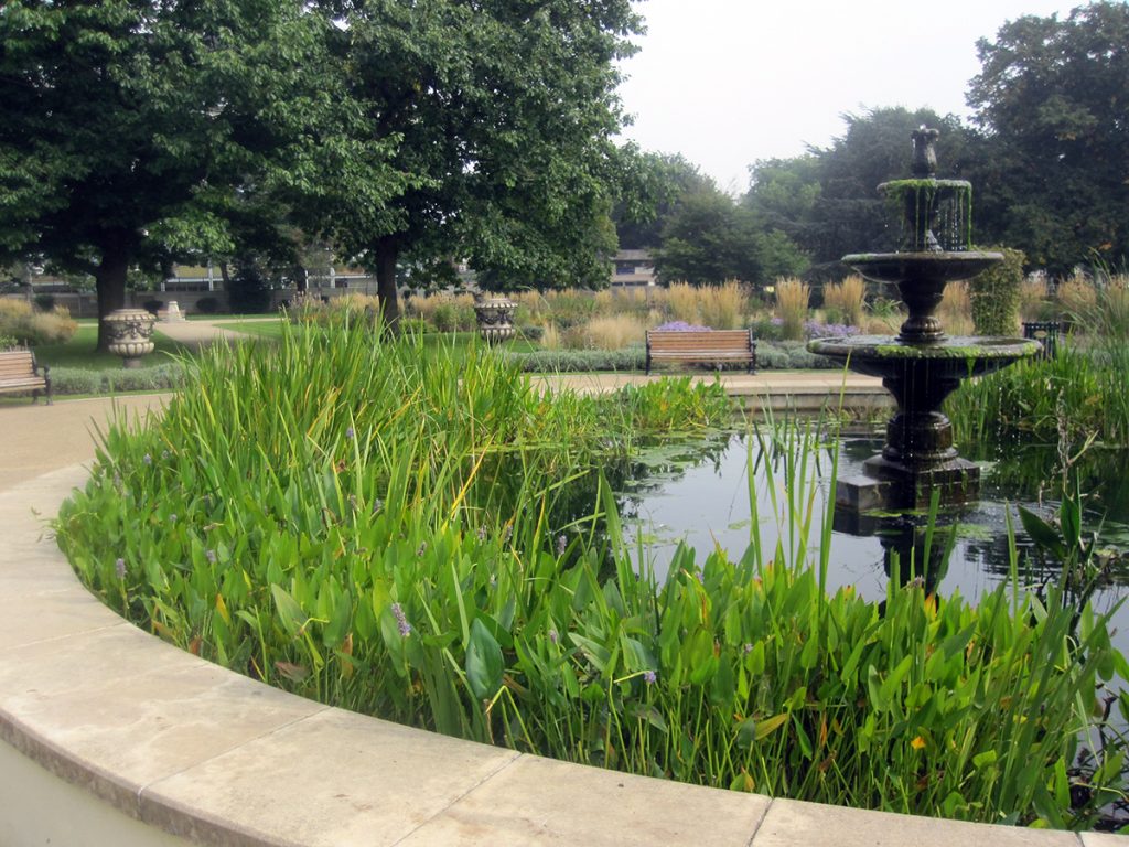 Fountain in park setting