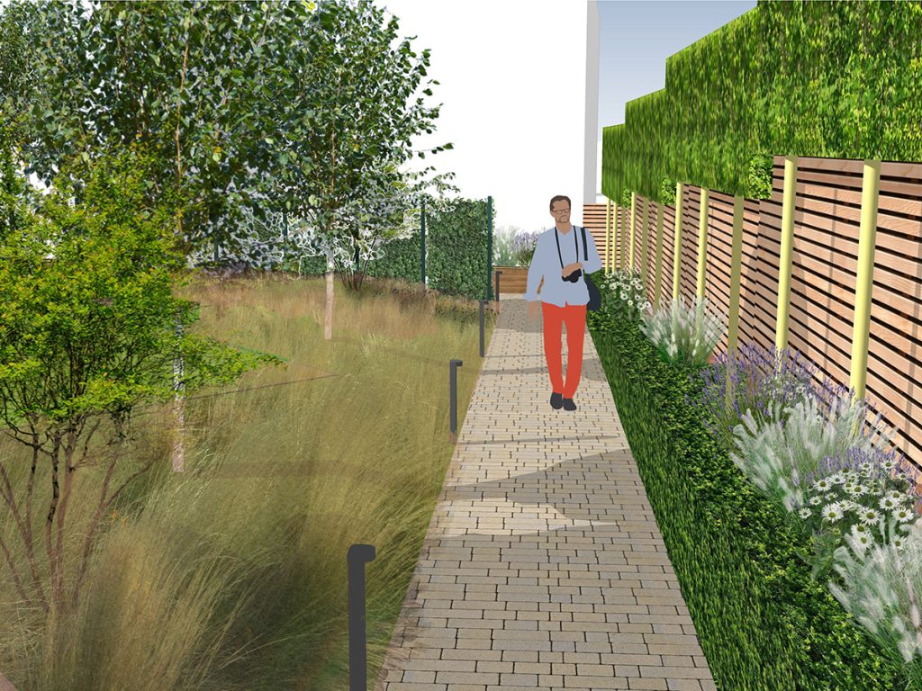 Landscape design entrance path sketch