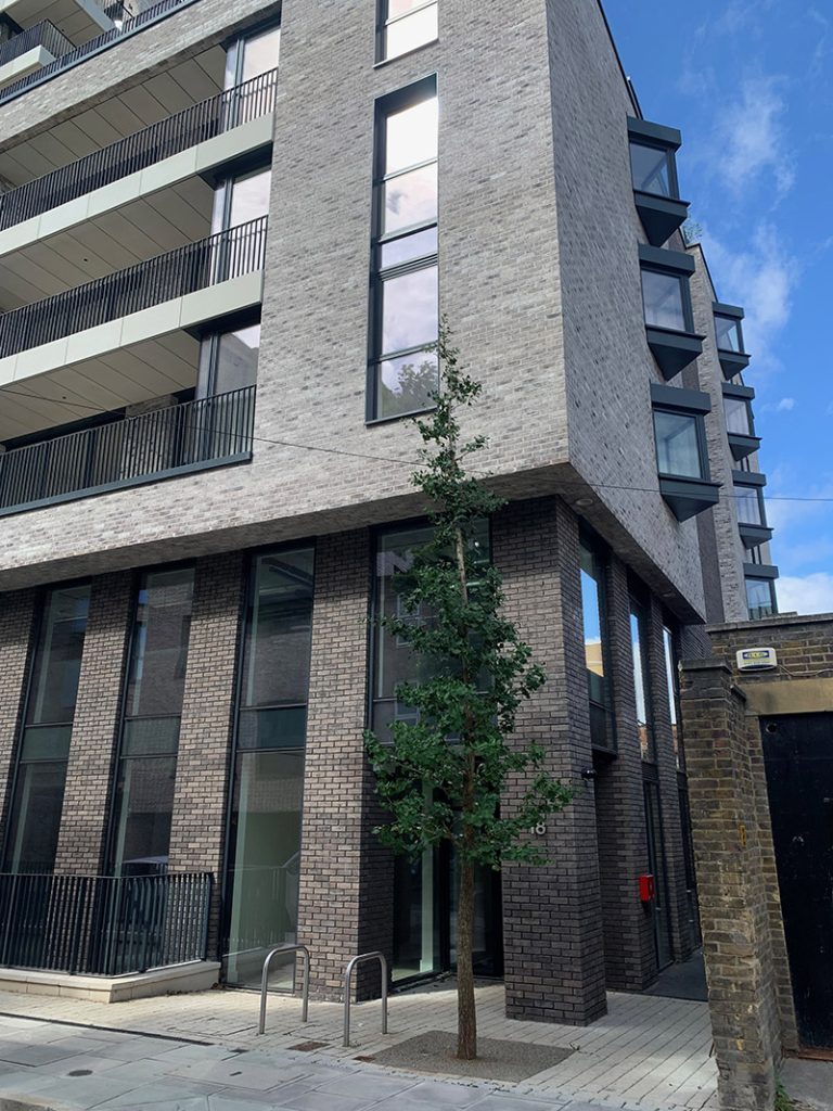 Building entrance with Gingko tree