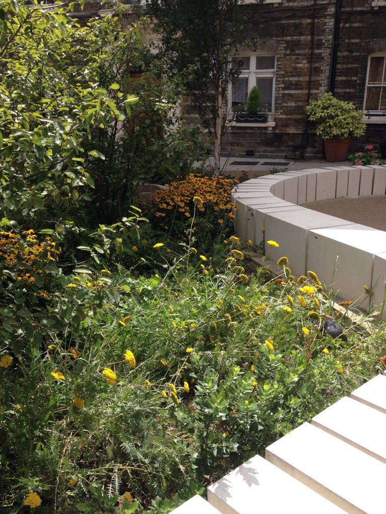 Estate regeneration landscape design planting